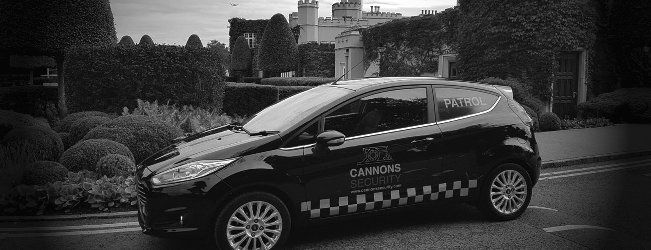 Cannons Security Services London